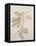 Botanicals VI-Rikki Drotar-Framed Premier Image Canvas