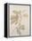 Botanicals VI-Rikki Drotar-Framed Premier Image Canvas