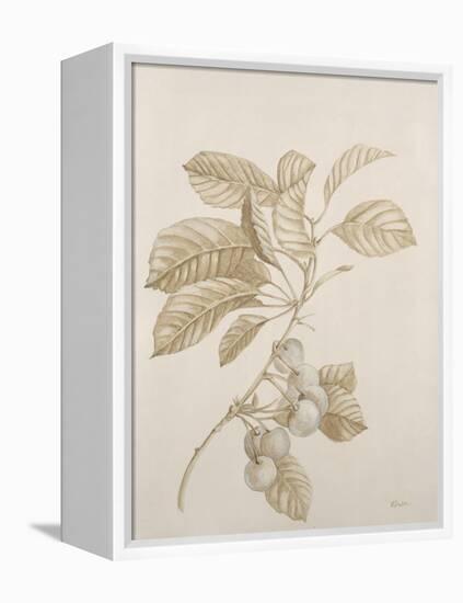 Botanicals VI-Rikki Drotar-Framed Premier Image Canvas