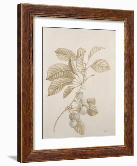 Botanicals VI-Rikki Drotar-Framed Giclee Print