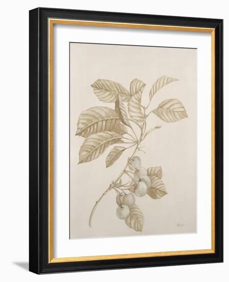 Botanicals VI-Rikki Drotar-Framed Giclee Print