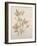 Botanicals VII-Rikki Drotar-Framed Giclee Print