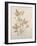 Botanicals VII-Rikki Drotar-Framed Giclee Print