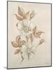 Botanicals VII-Rikki Drotar-Mounted Giclee Print