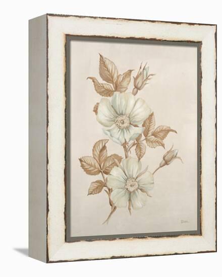 Botanicals VII-Rikki Drotar-Framed Premier Image Canvas