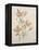 Botanicals VII-Rikki Drotar-Framed Premier Image Canvas