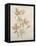 Botanicals VII-Rikki Drotar-Framed Premier Image Canvas