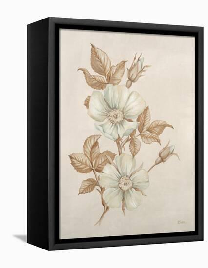 Botanicals VII-Rikki Drotar-Framed Premier Image Canvas