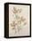 Botanicals VII-Rikki Drotar-Framed Premier Image Canvas