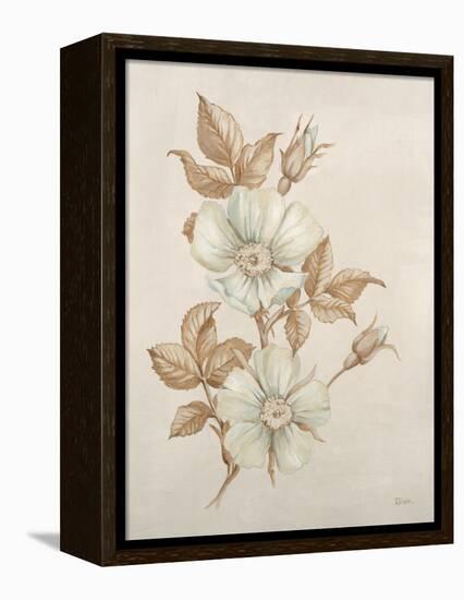 Botanicals VII-Rikki Drotar-Framed Premier Image Canvas