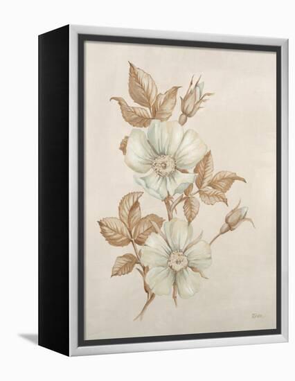 Botanicals VII-Rikki Drotar-Framed Premier Image Canvas