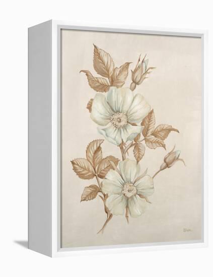 Botanicals VII-Rikki Drotar-Framed Premier Image Canvas