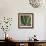 Botanicals VIII-Tony Koukos-Framed Giclee Print displayed on a wall