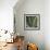 Botanicals VIII-Tony Koukos-Framed Giclee Print displayed on a wall
