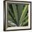 Botanicals VIII-Tony Koukos-Framed Giclee Print