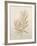 Botanicals VIII-Rikki Drotar-Framed Giclee Print