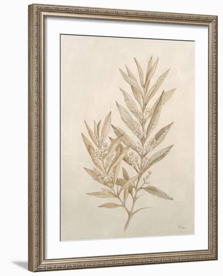 Botanicals VIII-Rikki Drotar-Framed Giclee Print