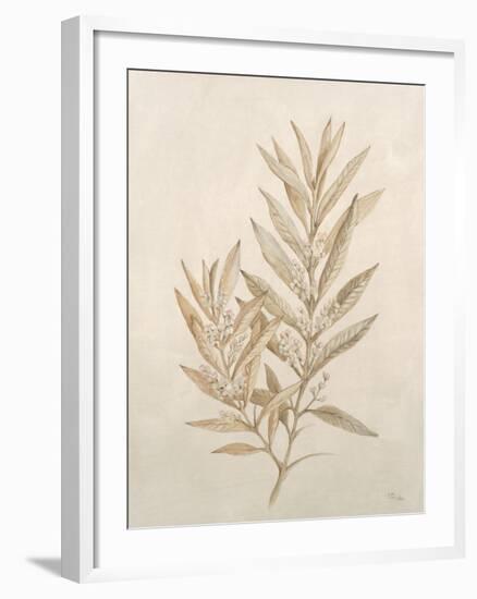 Botanicals VIII-Rikki Drotar-Framed Giclee Print