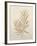 Botanicals VIII-Rikki Drotar-Framed Giclee Print