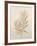 Botanicals VIII-Rikki Drotar-Framed Giclee Print