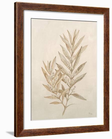 Botanicals VIII-Rikki Drotar-Framed Giclee Print