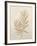 Botanicals VIII-Rikki Drotar-Framed Giclee Print