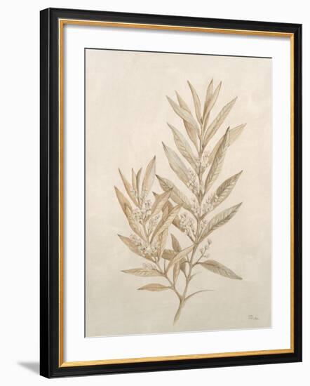Botanicals VIII-Rikki Drotar-Framed Giclee Print