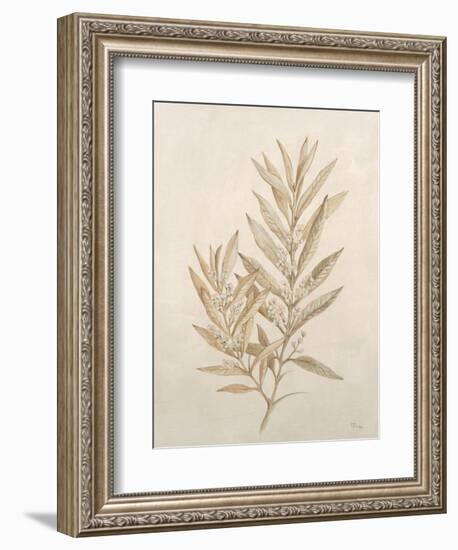 Botanicals VIII-Rikki Drotar-Framed Giclee Print