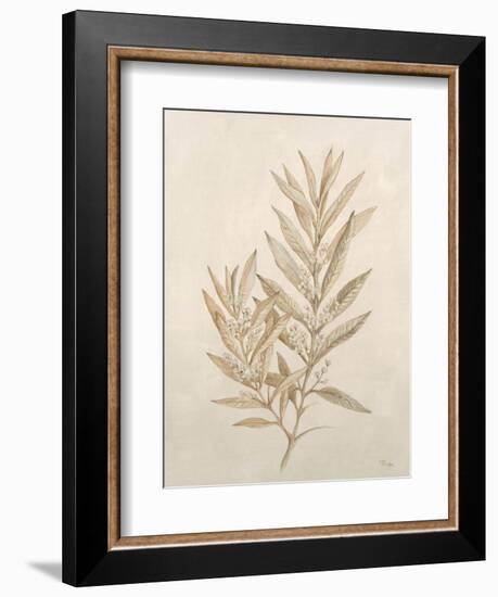 Botanicals VIII-Rikki Drotar-Framed Giclee Print