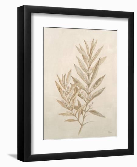 Botanicals VIII-Rikki Drotar-Framed Giclee Print