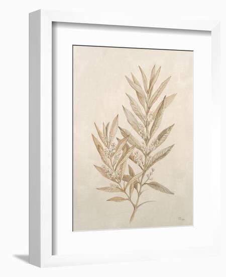 Botanicals VIII-Rikki Drotar-Framed Giclee Print