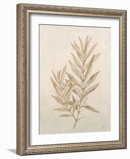 Botanicals VIII-Rikki Drotar-Framed Giclee Print