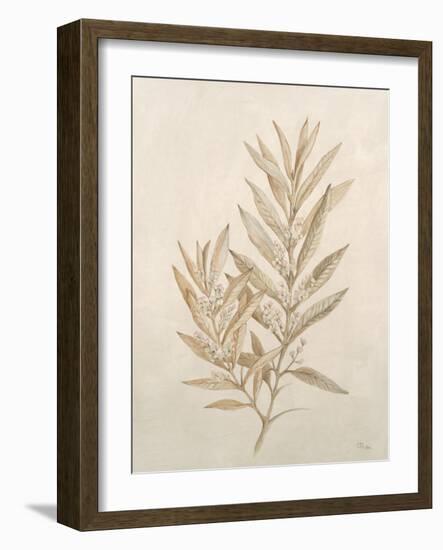 Botanicals VIII-Rikki Drotar-Framed Giclee Print