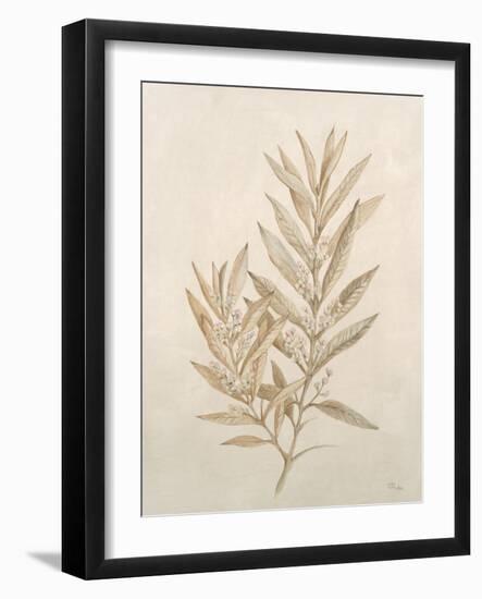 Botanicals VIII-Rikki Drotar-Framed Giclee Print