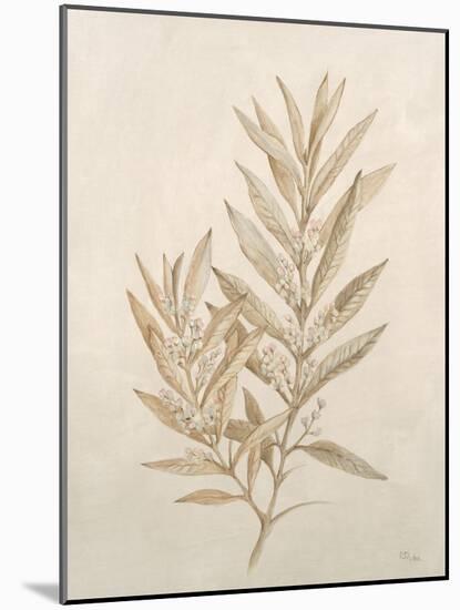 Botanicals VIII-Rikki Drotar-Mounted Giclee Print