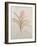 Botanicals X-Rikki Drotar-Framed Giclee Print