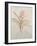 Botanicals X-Rikki Drotar-Framed Giclee Print