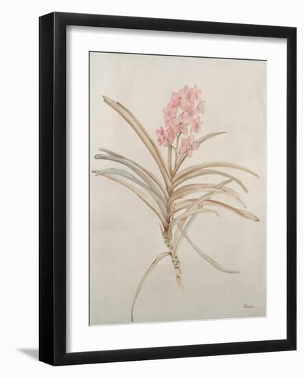 Botanicals X-Rikki Drotar-Framed Giclee Print