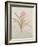 Botanicals X-Rikki Drotar-Framed Giclee Print