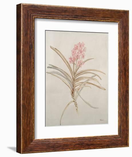 Botanicals X-Rikki Drotar-Framed Giclee Print