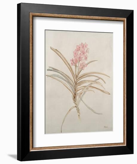 Botanicals X-Rikki Drotar-Framed Giclee Print