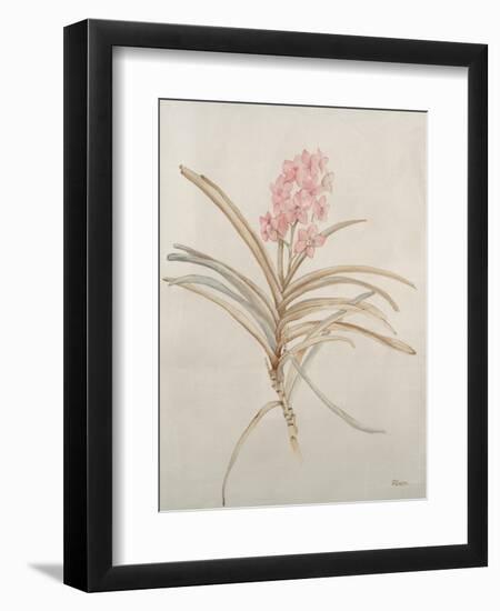 Botanicals X-Rikki Drotar-Framed Giclee Print