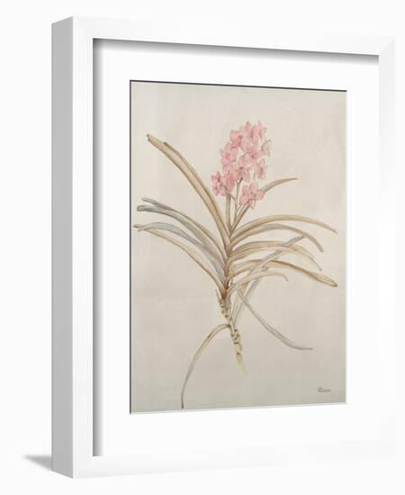 Botanicals X-Rikki Drotar-Framed Giclee Print