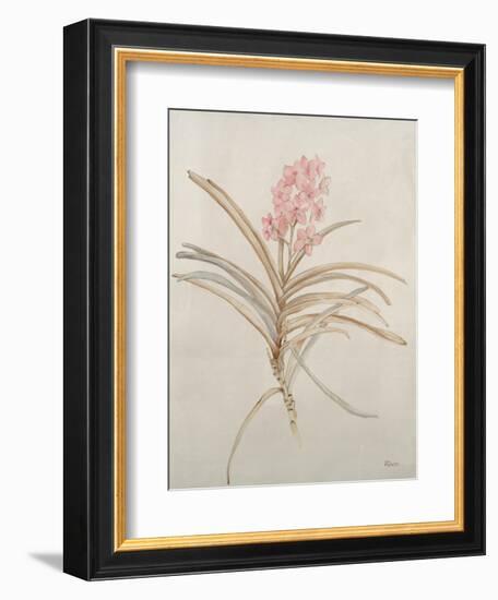 Botanicals X-Rikki Drotar-Framed Giclee Print