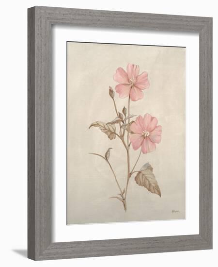 Botanicals XI-Rikki Drotar-Framed Giclee Print