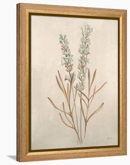 Botanicals XII-Rikki Drotar-Framed Premier Image Canvas