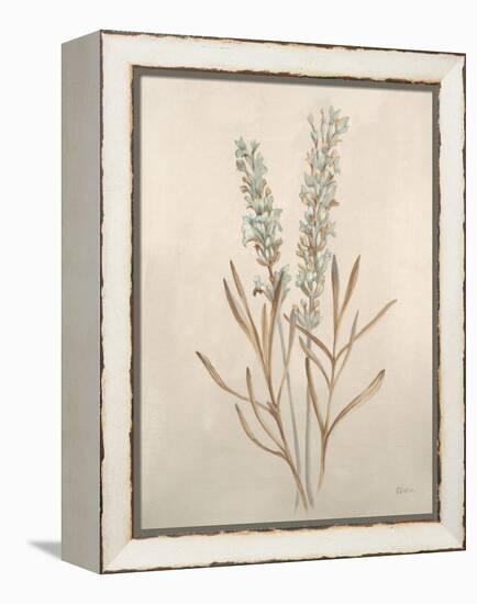 Botanicals XII-Rikki Drotar-Framed Premier Image Canvas