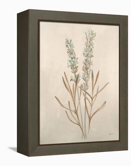 Botanicals XII-Rikki Drotar-Framed Premier Image Canvas