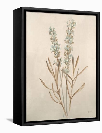 Botanicals XII-Rikki Drotar-Framed Premier Image Canvas