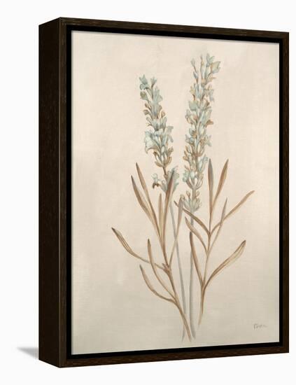 Botanicals XII-Rikki Drotar-Framed Premier Image Canvas